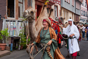 Kamele in der Altstadt