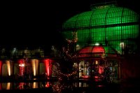 Winterlicht - Palmengarten Frankfurt