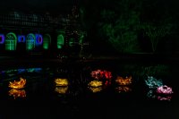 Winterlichter - Palmengarten Frankfurt 2023-24