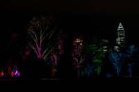 Winterlichter - Palmengarten Frankfurt 2023-24