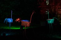 Winterlichter - Palmengarten Frankfurt 2023-24