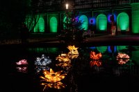 Winterlichter - Palmengarten Frankfurt 2023-24