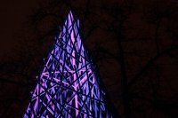 Winterlicht - Palmengarten Frankfurt