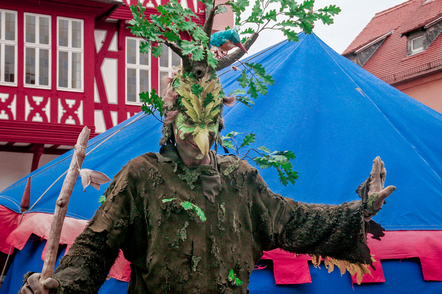 Frisches Grün auf dem Altstädter Markt 