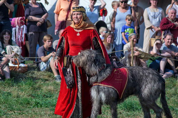 Horus-Falknerei mit riesigen Jagdhunden