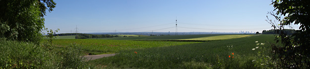 Panorama-HoheStrasse mit Frankfurter Skyline