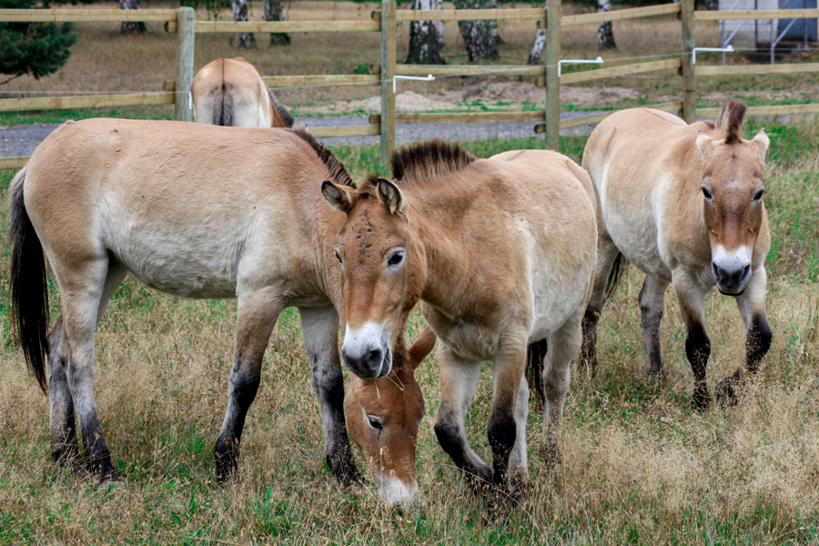 Kleine Gruppe