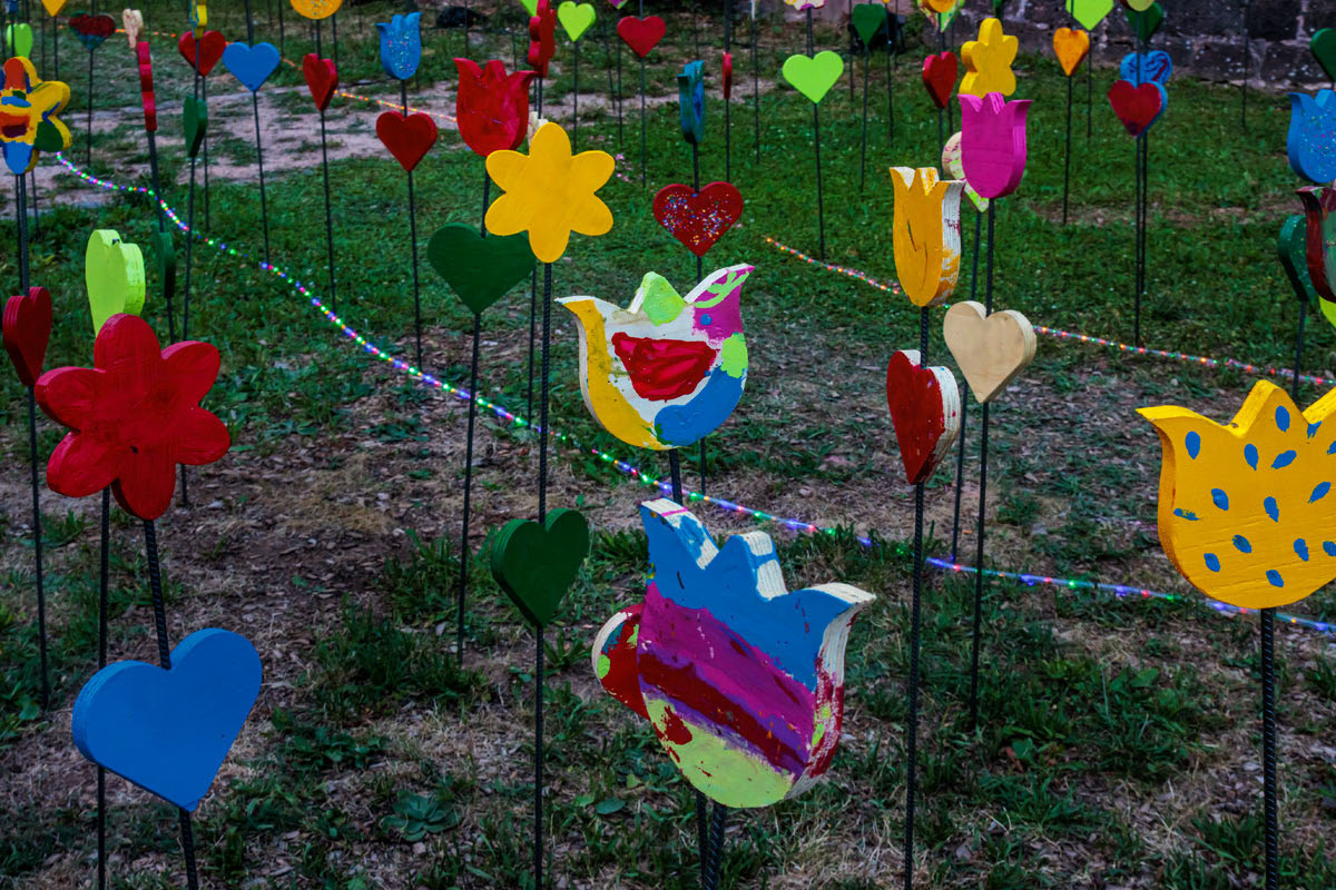 Buedingen Kulturnacht 2026 - Blumenwiese