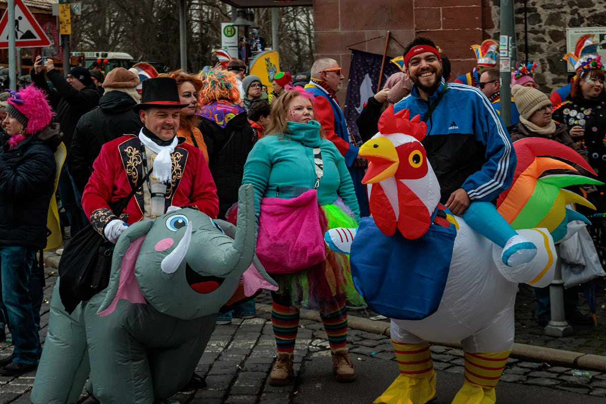 Faschingsumzug HU 2026 - TGH - Die wilden Tiere Faschingsumzug HU 2026 - TGH - Die wilden Tiere
