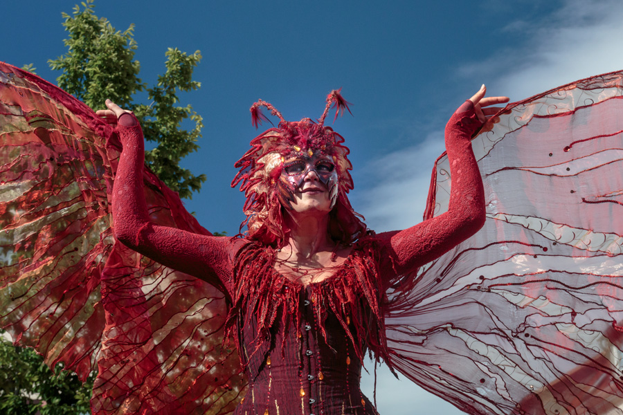 Gaukler Lamboyfest - Tagschmetterling (Incanto)