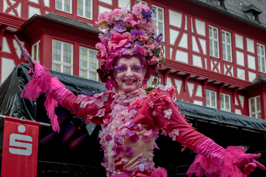 Wüstenblumen vor dem Goldschmiedehaus