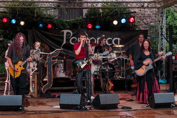 Hayner Burgfest 2015 - Pestorica